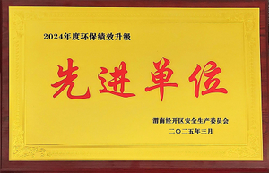 2-2024年度环保绩效升级先进单位