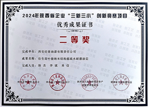 10-2024年陕西省“三新三小”创新竞赛项目优秀成果二等奖